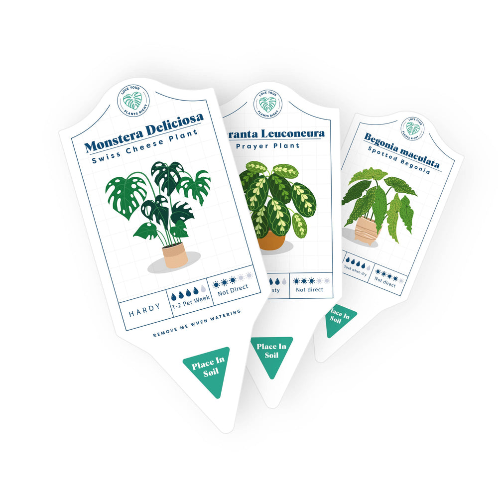 Houseplant Care Tags