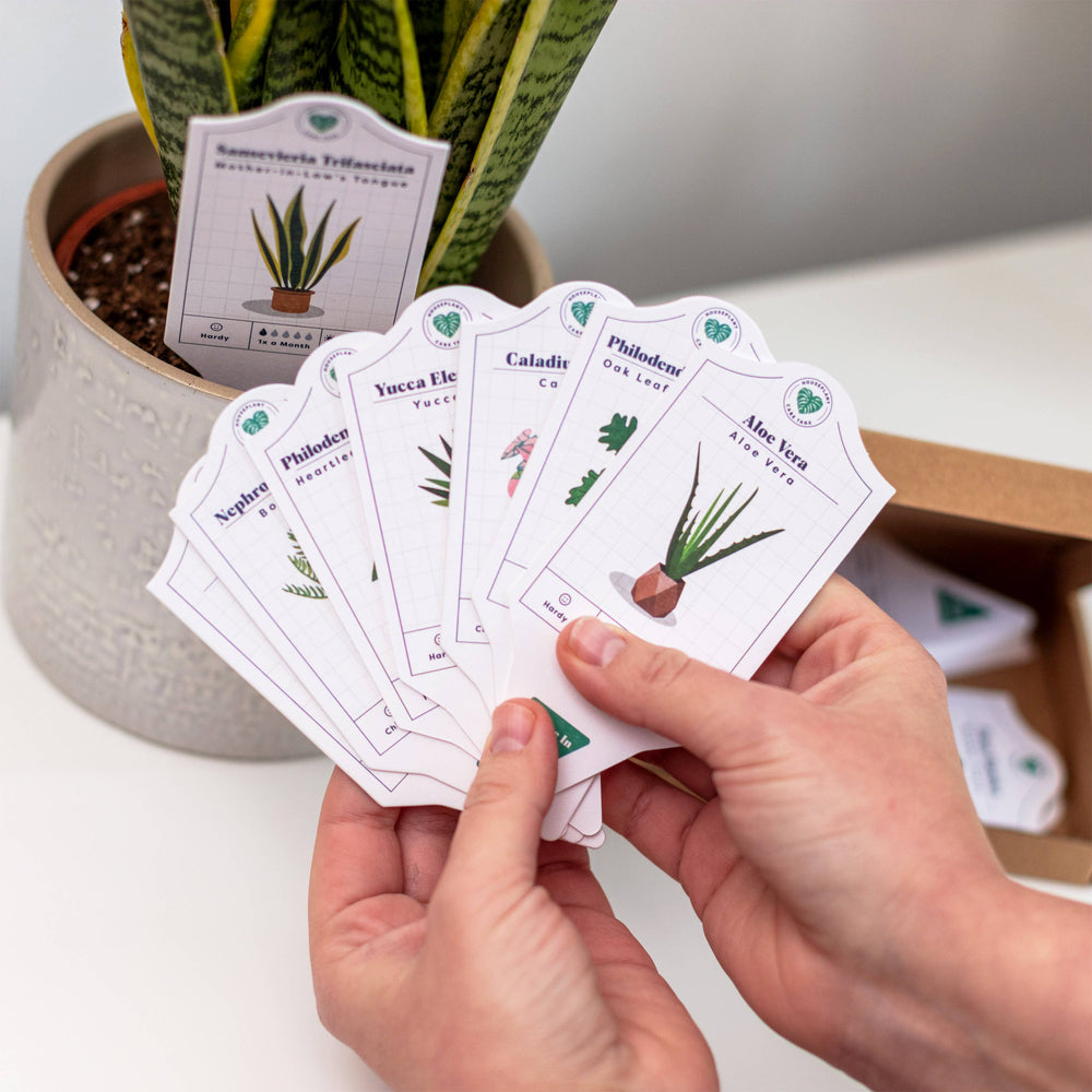 Houseplant Care Tags