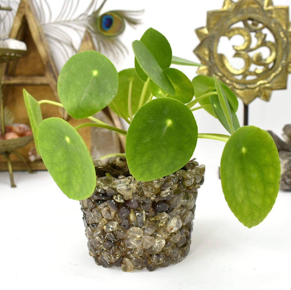 Crystal Tumbled Stone Flower Pot - Size #5 (TUM-POT5)