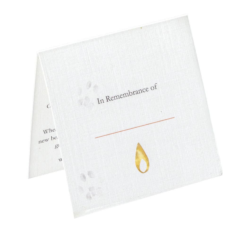 AFTER: Beloved Pet  |  Pet Loss Sympathy Gift