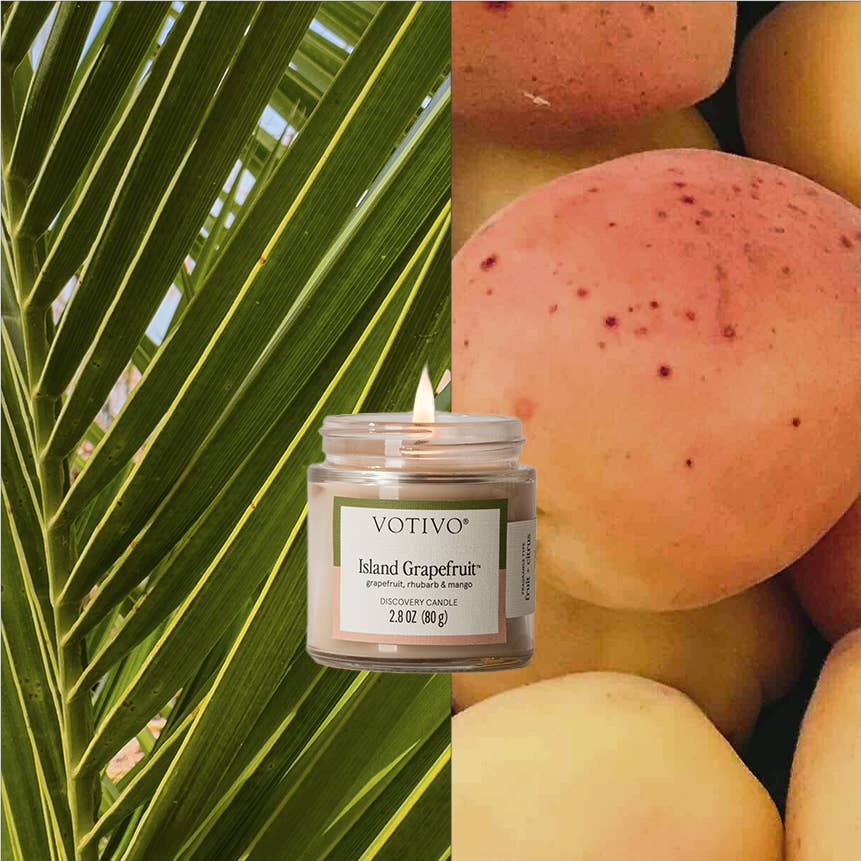 Island Grapefruit Discovery Candle - 6 Pack | Summer Scent