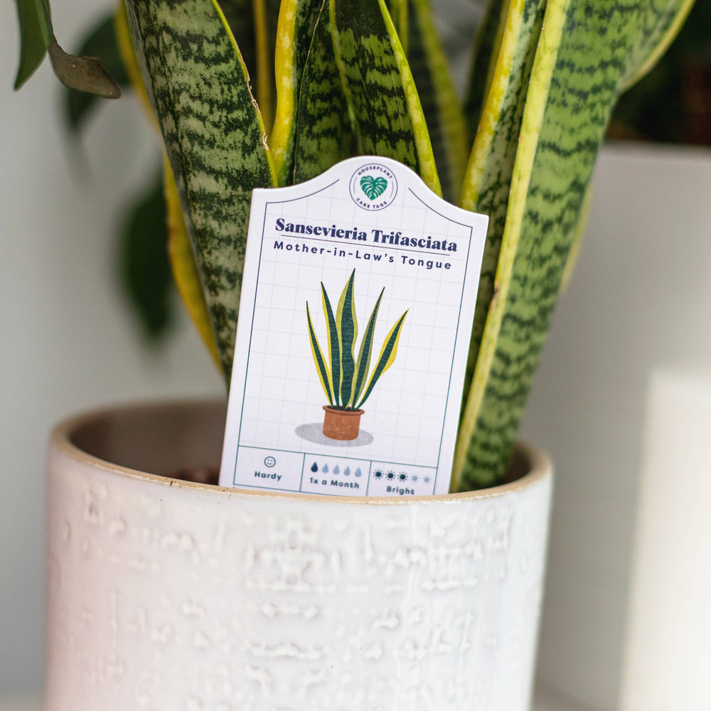 Houseplant Care Tags