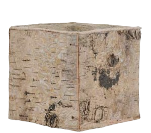 6" SQ ABACA Birch Box