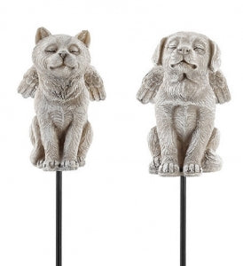 Dog/Cat Angel Pic