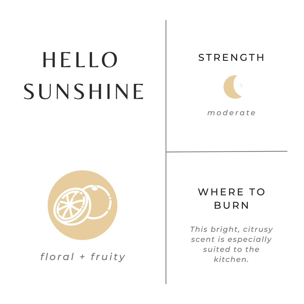 Mini Soy Candles - 2 oz