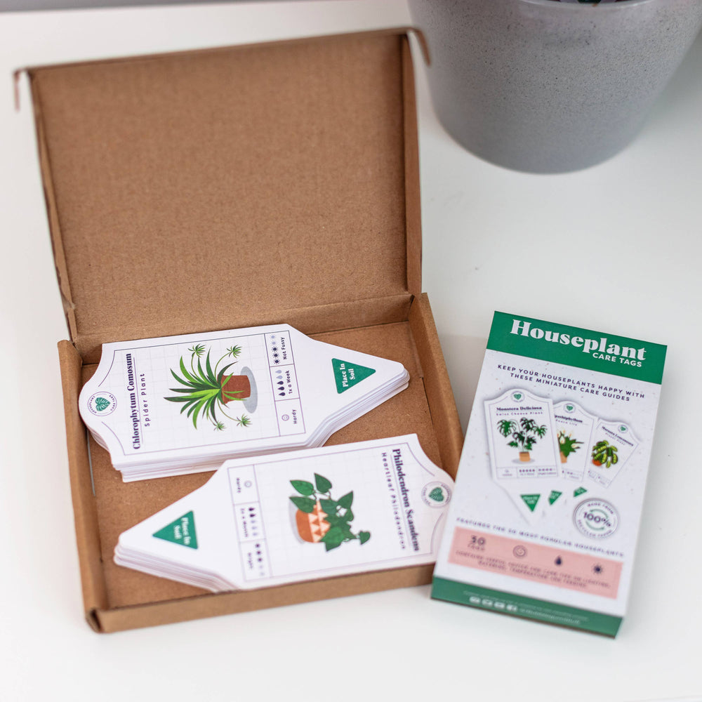 Houseplant Care Tags