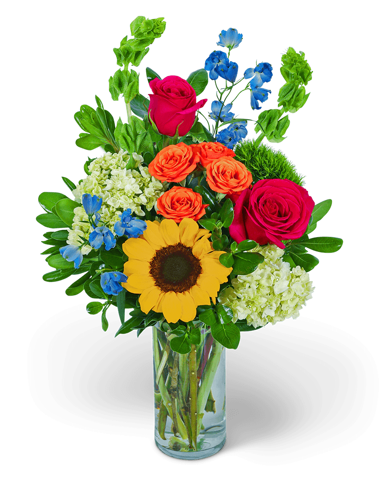 Havana Nights - The Floratory